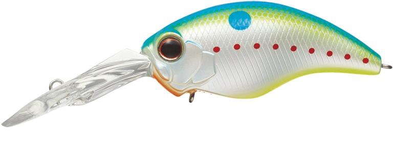 Evergreen Wild Hunch 8 - 271 Champion Shad