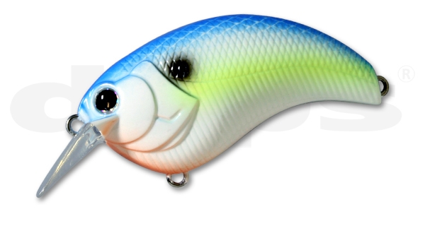 Evoke Sexy Shad