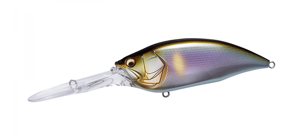 Big-M 7.5 11 PM Setsuki Ayu