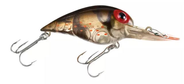 Amostra Wiggle wart V86 Phantom Green Crayfish
