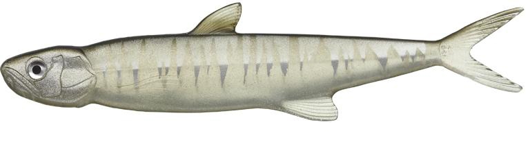 Amostra last ace 168 Ketabass 77