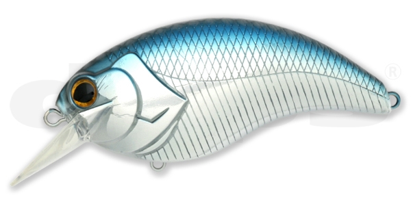 Evoke Chrome Shad