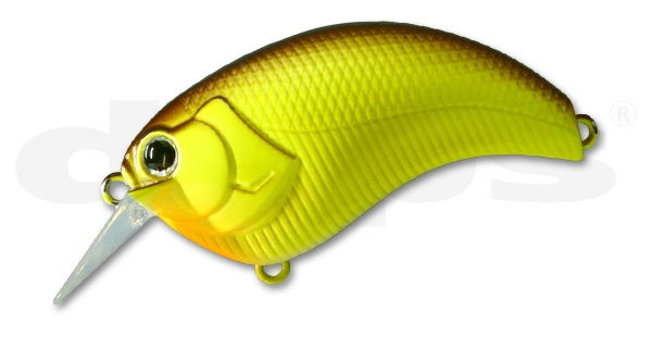 Evoke Brown Back Chart