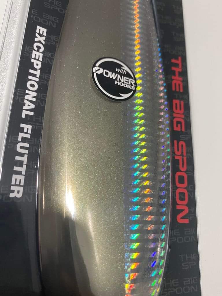 The Big Spoon Silver Alburno