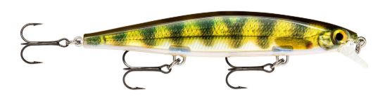 Jerbait Rapala Shadow Rap - Live Perch 