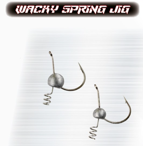 Baitsfishing Wacky Spring Jig