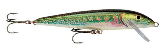 Amostra F05 Minnow