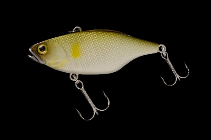 Amostra TN60 PEARL AYU