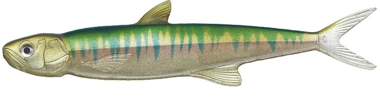 Amostra last ace 168 Oikawa 55