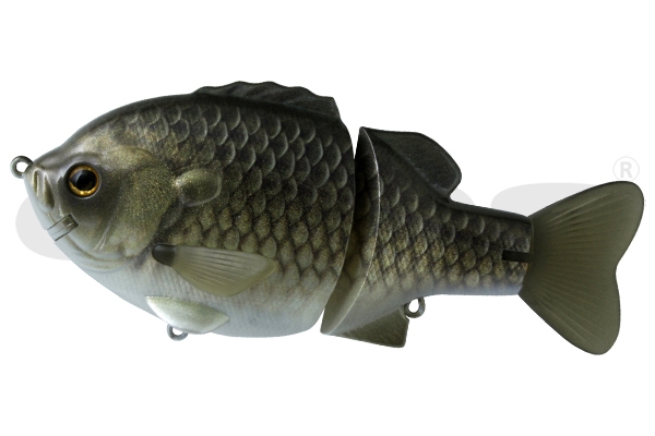 Bullshooter 160 SS Gold Fish - 13