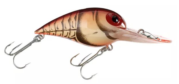 Amostra wiggle wart 05 62 Natural Brown Crayfish