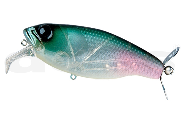 Buzzjet - 06 Ghost Ketabass