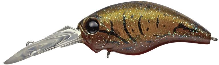 Evergreen Wild Hunch - 216 Olive Crawdad