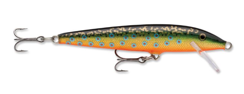 Amostra F09 Brook Trout