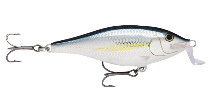 Rapala Shallow Shad Rap - ALB Bleak