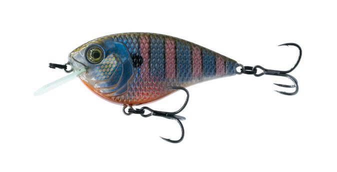 6th Sense Flat Finesse F4 - Bluegill Spawn