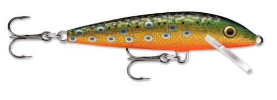 Amostra F07 Brook Trout