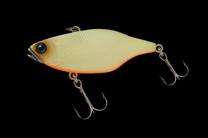 Amostra TN60 STAIN KING