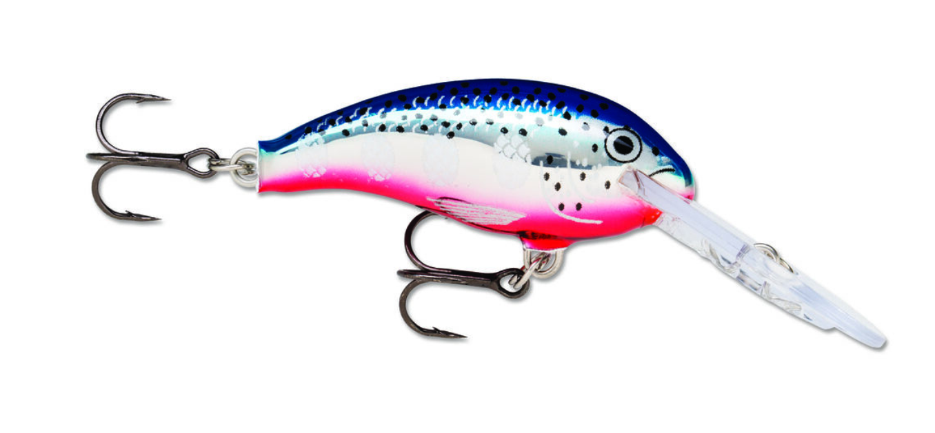 Amostra SDD05  BFL blue flash