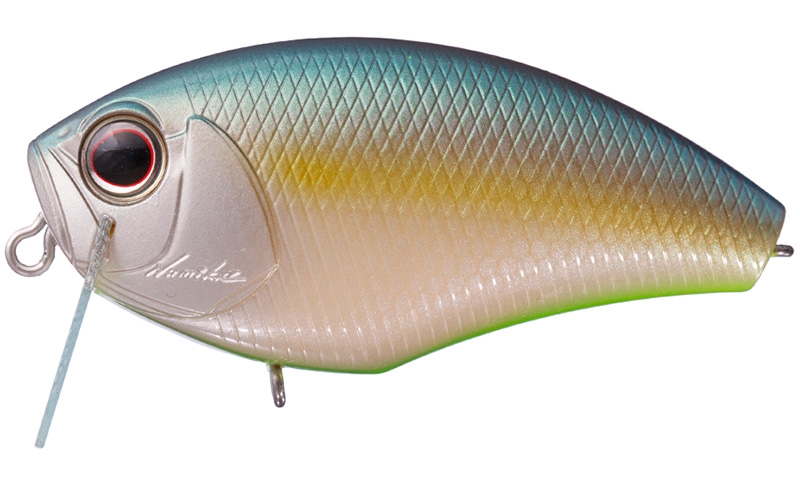 Daibuzzn Heavy Hitter B-64 Jade Shad Chart Belly