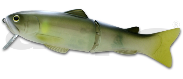 Amostra silent killer 250 Ghost Ayu 04