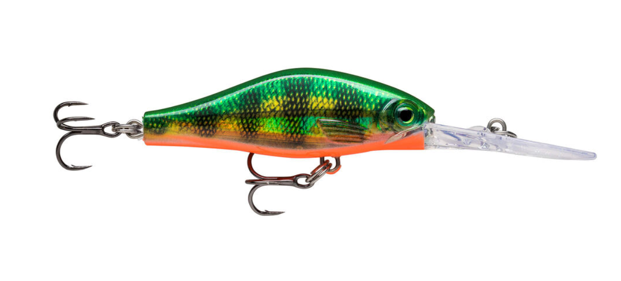 Amostra SDRJD05 FTPE fire tiger perch