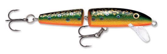 Amostra J11 Brook Trout 