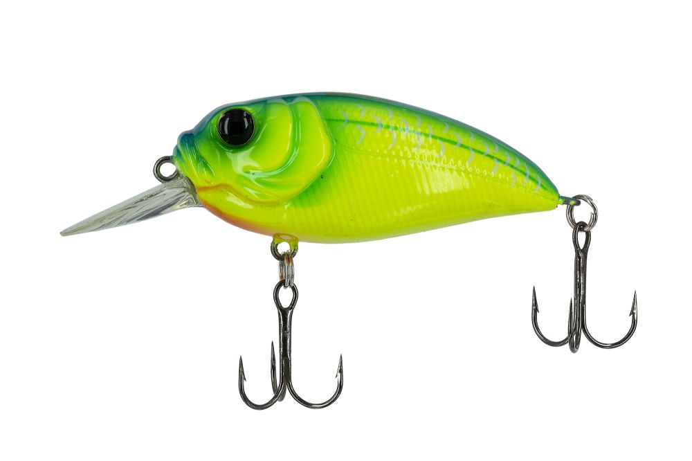 Amostra sculpo MR SCMRR-128 MX blue back