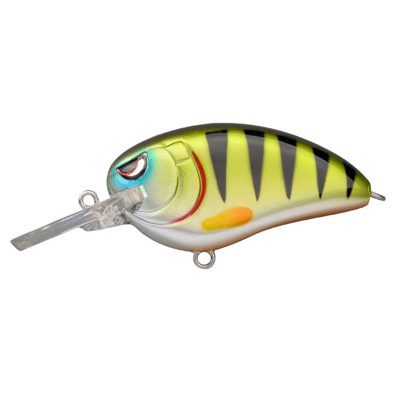 Amostra little jonh MD50 Green Perch 4867-601