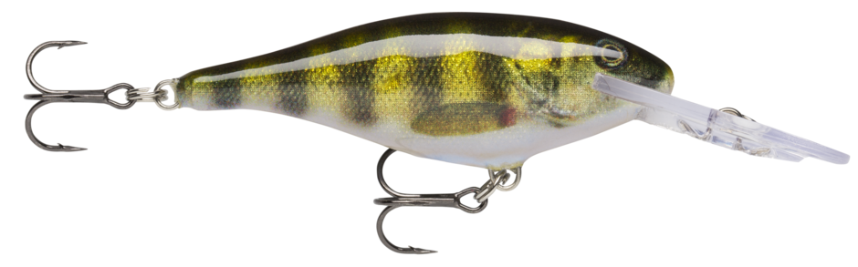 Rapala Shad Rap - PEL Live Perch 